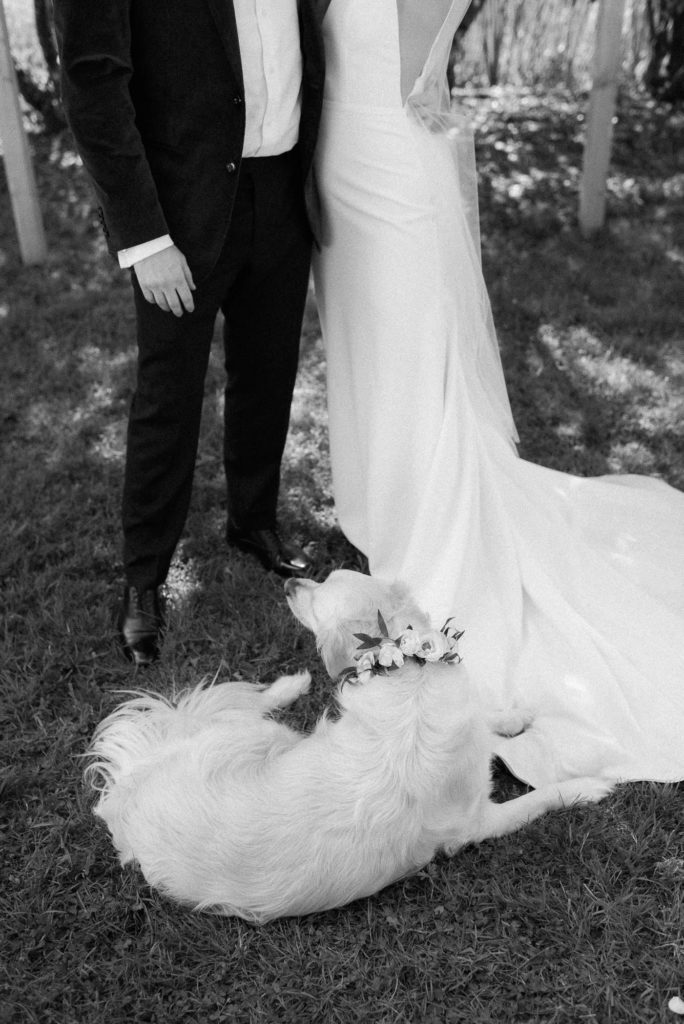 Intimate wedding at the UW Center for Urban Horticulture in Seattle Washington